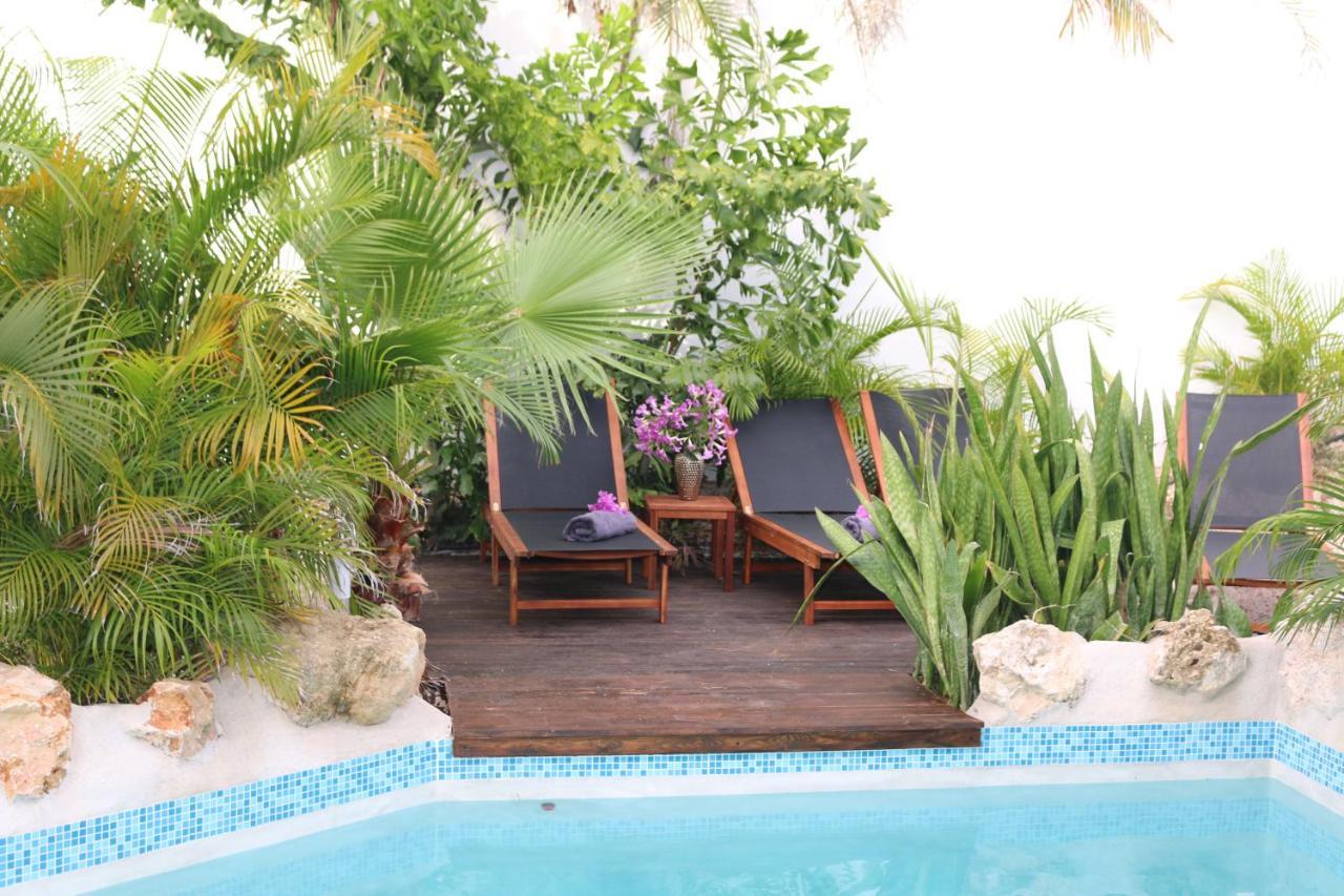 New House Tropic Paradise With Pool Willemstad Extérieur photo