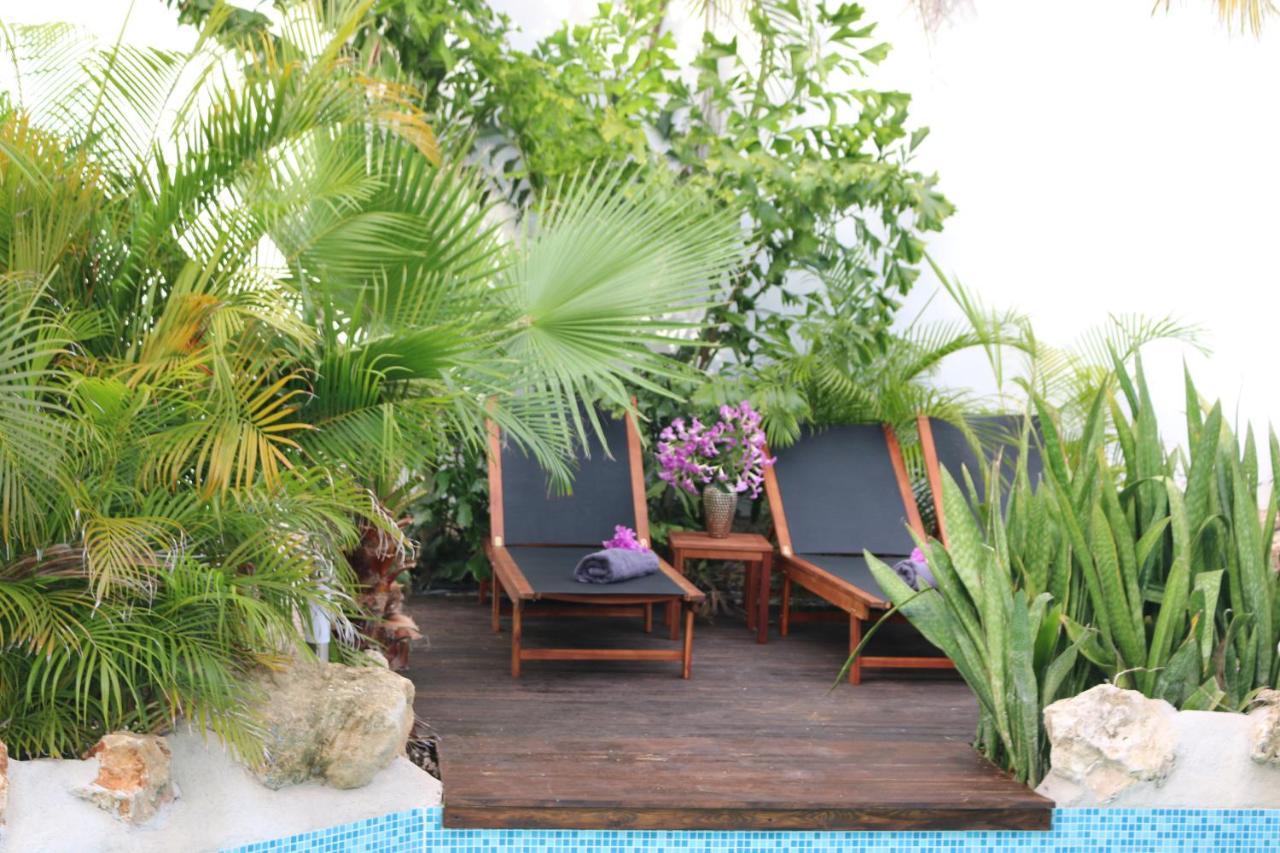 New House Tropic Paradise With Pool Willemstad Extérieur photo