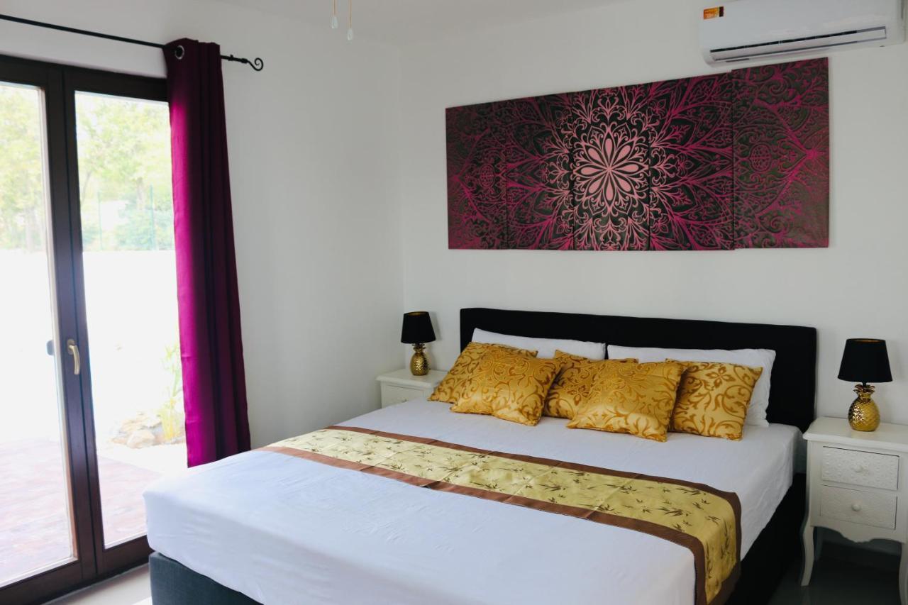 New House Tropic Paradise With Pool Willemstad Extérieur photo
