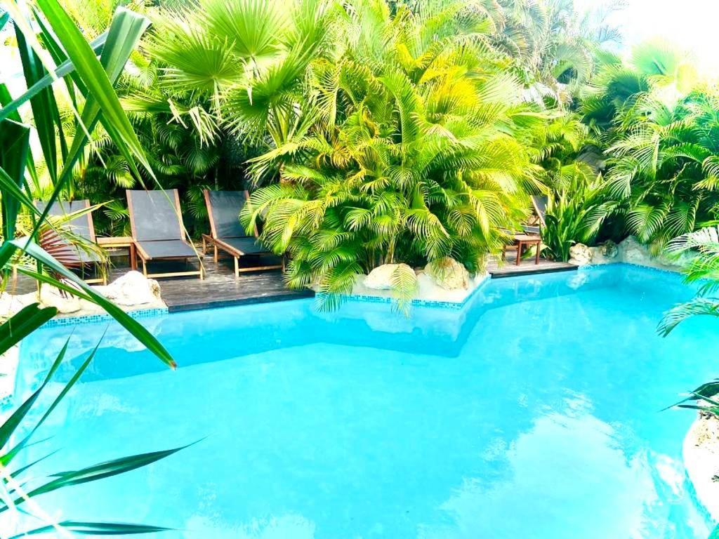 New House Tropic Paradise With Pool Willemstad Extérieur photo